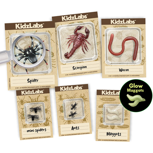 Creepy Crawly Digging Kit