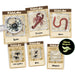 Creepy Crawly Digging Kit