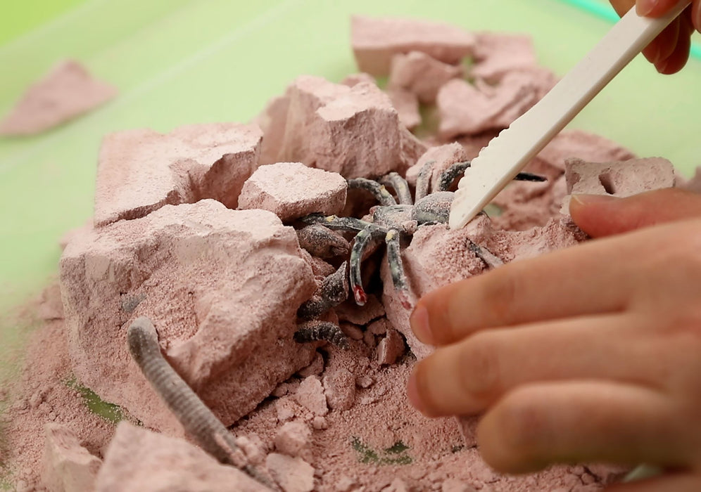 Creepy Crawly Digging Kit