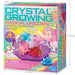 Crystal Growing Magical Unicorn Terrarium