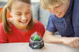 Crystal Growing Crystal Imaginations Green US