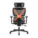 BRATECK SpineX Ergonomic Office Chair with Posture Enhancement. Human Engineerin