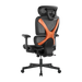 BRATECK SpineX Ergonomic Office Chair with Posture Enhancement. Human Engineerin