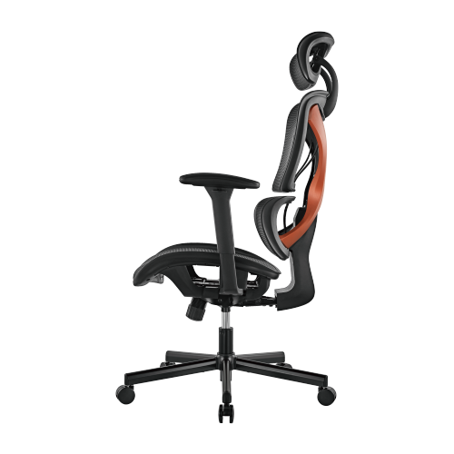 BRATECK SpineX Ergonomic Office Chair with Posture Enhancement. Human Engineerin