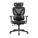 BRATECK SpineX Ergonomic Office Chair with Posture Enhancement. Human Engineerin
