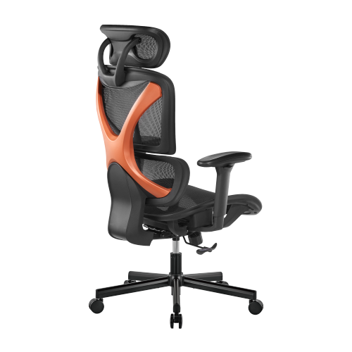 BRATECK SpineX Ergonomic Office Chair with Posture Enhancement. Human Engineerin