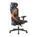 BRATECK SpineX Ergonomic Office Chair with Posture Enhancement. Human Engineerin