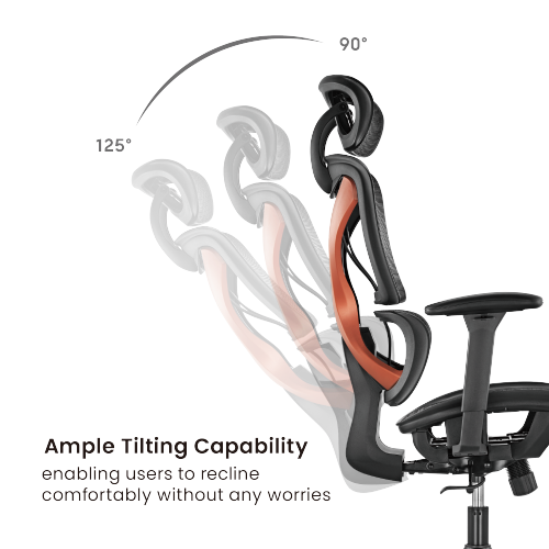 BRATECK SpineX Ergonomic Office Chair with Posture Enhancement. Human Engineerin