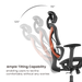 BRATECK SpineX Ergonomic Office Chair with Posture Enhancement. Human Engineerin