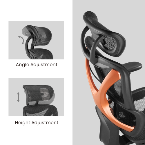 BRATECK SpineX Ergonomic Office Chair with Posture Enhancement. Human Engineerin