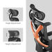 BRATECK SpineX Ergonomic Office Chair with Posture Enhancement. Human Engineerin