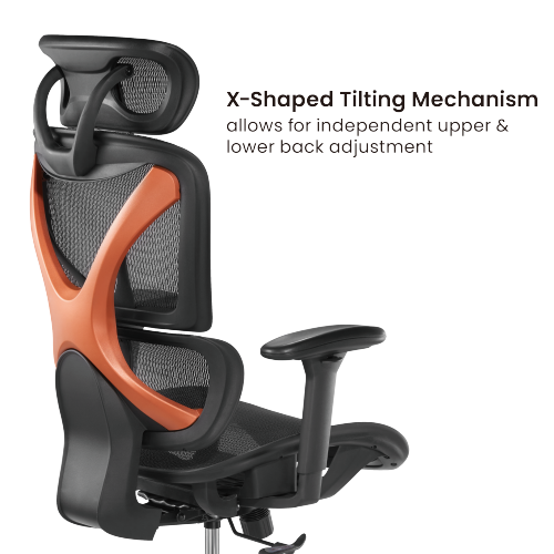 BRATECK SpineX Ergonomic Office Chair with Posture Enhancement. Human Engineerin