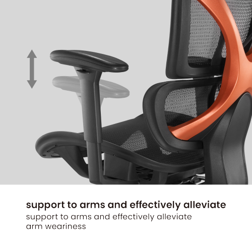 BRATECK SpineX Ergonomic Office Chair with Posture Enhancement. Human Engineerin