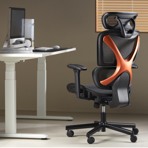 BRATECK SpineX Ergonomic Office Chair with Posture Enhancement. Human Engineerin