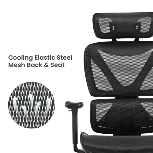 BRATECK SpineX Ergonomic Office Chair with Posture Enhancement. Human Engineerin