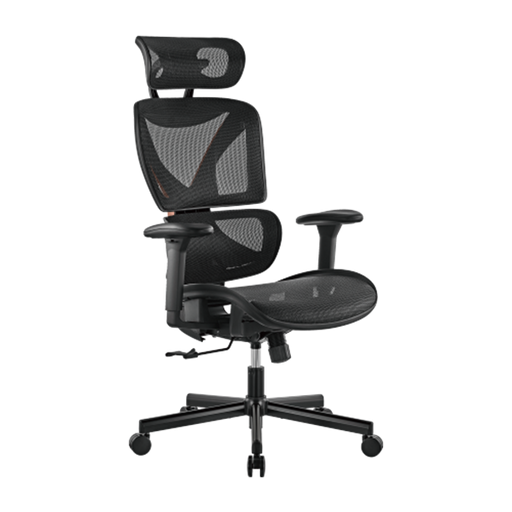 BRATECK SpineX Ergonomic Office Chair with Posture Enhancement. Human Engineerin