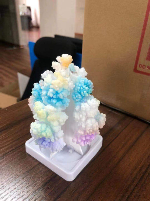 National Geographic Crystal Garden