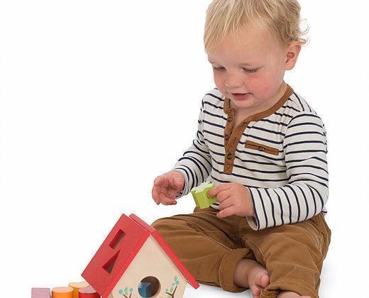 Little Bird House Shape Sorter