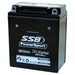 Motorcycle motorbike battery (YB12A-A) AGM 12V 12AH 250CCA BY SSB