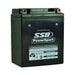 Motorcycle motorbike battery (YB12AL-A) AGM 12V 12AH 250CCA BY SSB