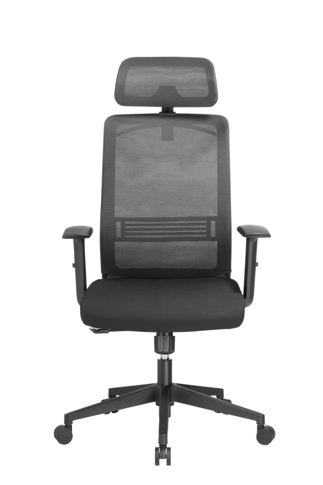 BRATECK Office Chair with Headrest. Ergonomic & Breathable Mesh Back. Pneumatic